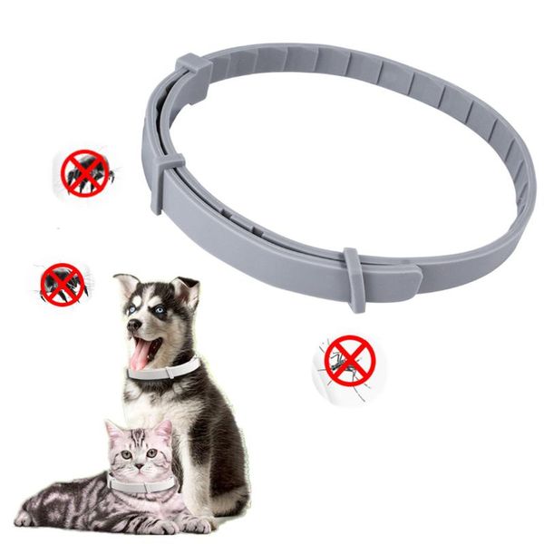 dog collars & leashes pet insect repellent collar medium and small cats dogs adjustable anti-flea leash
dog collars & leashes pet insect repellent collar medium and small cats dogs adjustable anti-flea leash