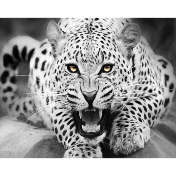 paintings picture by number leopard 60x75cm frame wall art animal coloring paint drawing kits on canvas painting home decortion
paintings picture by number leopard 60x75cm frame wall art animal coloring paint drawing kits on canvas painting home decortion