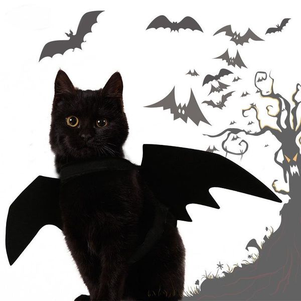 cat costumes halloween decoration 2022 pet dog bat wing cosplay prop fancy dress costume outfit wings po headwear felt harness
cat costumes halloween decoration 2022 pet dog bat wing cosplay prop fancy dress costume outfit wings po headwear felt harness