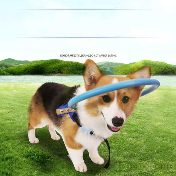 dog collars & leashes tyteps blind pet anti-collision ring scorpion cataract animal protection circle guide harness for small puppy dogs yor
dog collars & leashes tyteps blind pet anti-collision ring scorpion cataract animal protection circle guide harness for small puppy dogs yor