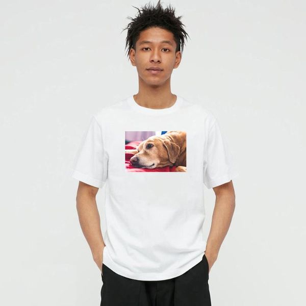 men's t-shirts summer style dog po 100% cotton and women's t-shirt casual o-neck short sleeve tees for men 10b10w, White;black
men's t-shirts summer style dog po 100% cotton and women's t-shirt casual o-neck short sleeve tees for men 10b10w, White;black