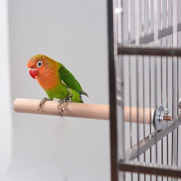other bird supplies parrot pet wood hanging stand rack toy wooden platform parakeet branch perches accessories for cage
other bird supplies parrot pet wood hanging stand rack toy wooden platform parakeet branch perches accessories for cage