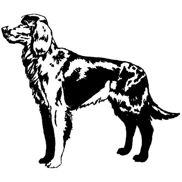 14.2*12.2cm red setter car stickers creative pet dog vinyl decal car styling decoration black/silver s1-0542
14.2*12.2cm red setter car stickers creative pet dog vinyl decal car styling decoration black/silver s1-0542