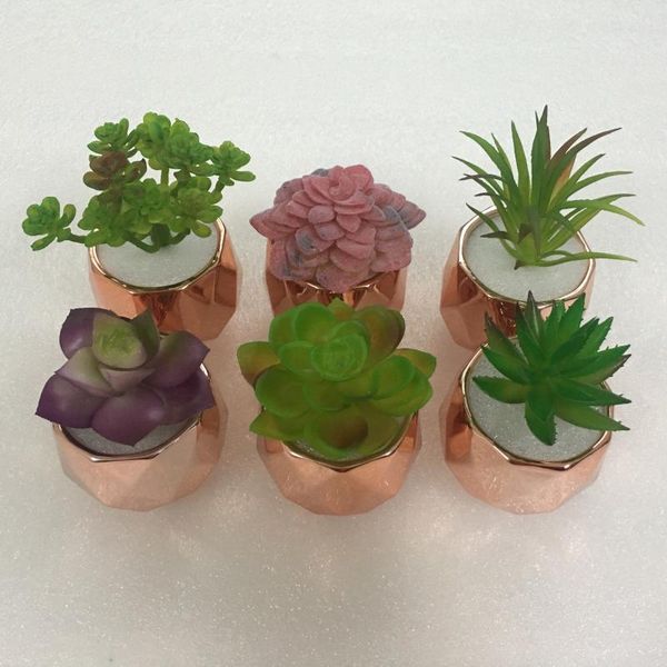 simulation succulent home deskplant potted living room office decoration decorative flowers & wreaths
simulation succulent home deskplant potted living room office decoration decorative flowers & wreaths