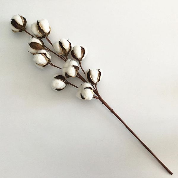 1pcs dried flower cotton 6 branches flowers eternal natural diy bouquet decoration props decorative & wreaths
1pcs dried flower cotton 6 branches flowers eternal natural diy bouquet decoration props decorative & wreaths