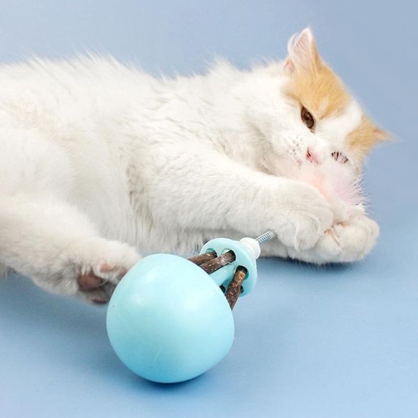 cat toys mutianling polygonum feather tumbler teasing pet kitten teeth cleaning chew stick funny interactive trainning toy
cat toys mutianling polygonum feather tumbler teasing pet kitten teeth cleaning chew stick funny interactive trainning toy