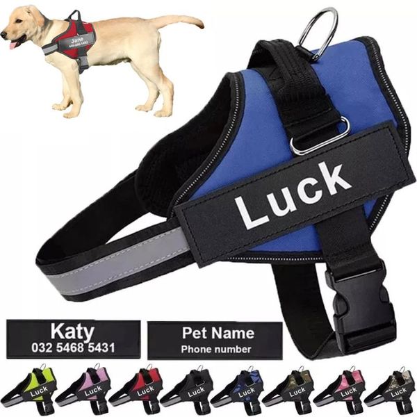 dog collars & leashes harness vest id patch customized reflective breathable adjustable pet for no pull outdoor
dog collars & leashes harness vest id patch customized reflective breathable adjustable pet for no pull outdoor