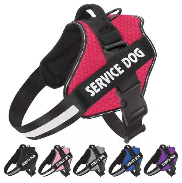 dog collars & leashes adjustable harness leash no pull reflective breathable pet small big accessories supplies vest custom patch
dog collars & leashes adjustable harness leash no pull reflective breathable pet small big accessories supplies vest custom patch