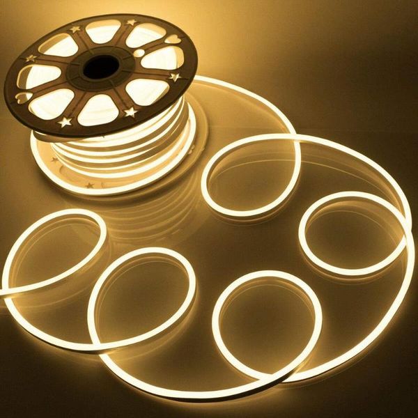 neon light strip flexible led rope tube smd 2835 120leds/m lamp outdoor christmas holiday fairy with eu plug strips
neon light strip flexible led rope tube smd 2835 120leds/m lamp outdoor christmas holiday fairy with eu plug strips