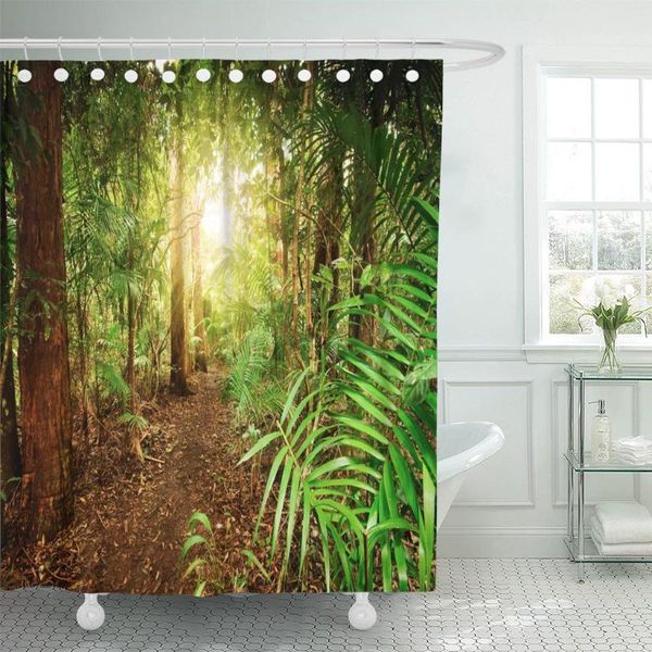 shower curtains australian rainforest at late afternoon sun rays breaks through curtain waterproof polyester fabric 72 x inches
shower curtains australian rainforest at late afternoon sun rays breaks through curtain waterproof polyester fabric 72 x inches