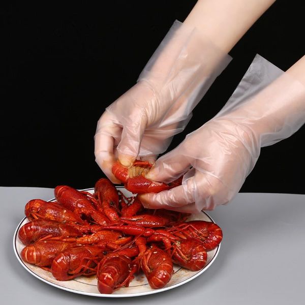 disposable gloves 50pcs food plastic restaurant fruit vegetable kitchen accessories
disposable gloves 50pcs food plastic restaurant fruit vegetable kitchen accessories