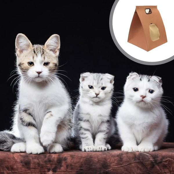 1pc cat bed foldable small cats tent house kitten for dog basket beds cute houses home cushion pet kennel products & furniture
1pc cat bed foldable small cats tent house kitten for dog basket beds cute houses home cushion pet kennel products & furniture