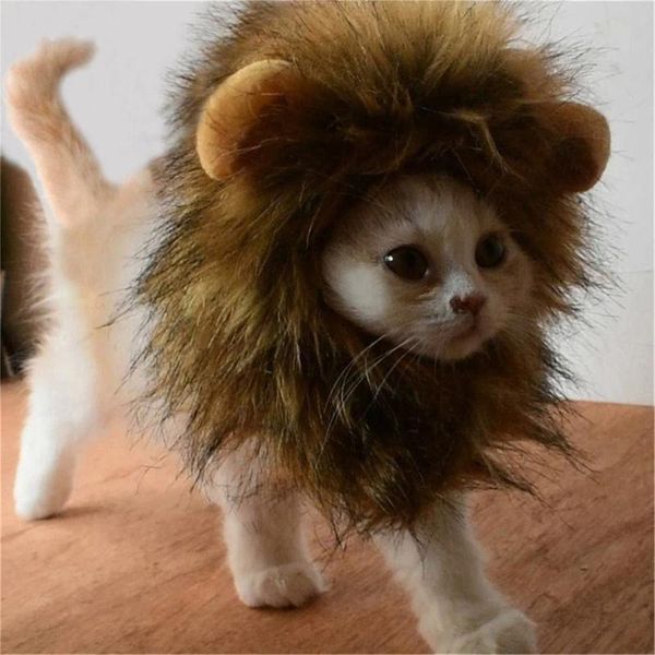 cat costumes cute mane with ears for cats small dogs or puppies halloween party festival siz animal kawaii accessories
cat costumes cute mane with ears for cats small dogs or puppies halloween party festival siz animal kawaii accessories