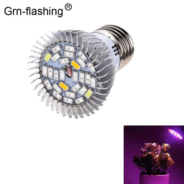 grnflashin full spectrum e27 18leds 28leds led grow light alloy casing ac85-265v lamp bulb for flowering plant seed growing lights
grnflashin full spectrum e27 18leds 28leds led grow light alloy casing ac85-265v lamp bulb for flowering plant seed growing lights
