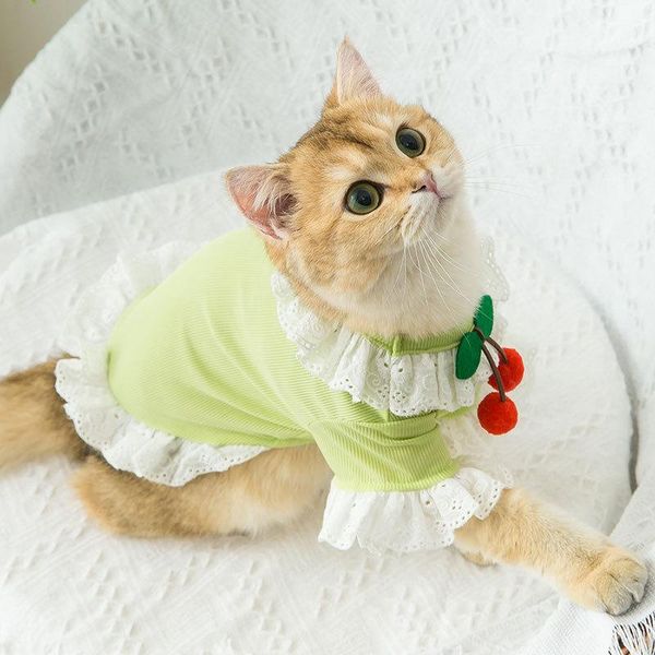 summer sweet small cherry lace breathable comfortable cool ice silk green cat clothes kitten teddy bichon puppy dog t-shirt costumes
summer sweet small cherry lace breathable comfortable cool ice silk green cat clothes kitten teddy bichon puppy dog t-shirt costumes