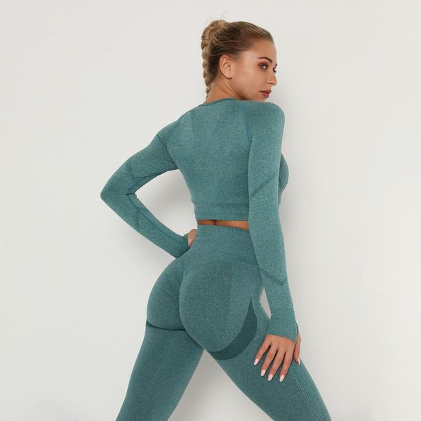high waist seamless gym set women tracksuits long sleeve belly control sport leggings ankle length clothes tracksuit suit sportwear, Gray
high waist seamless gym set women tracksuits long sleeve belly control sport leggings ankle length clothes tracksuit suit sportwear, Gray