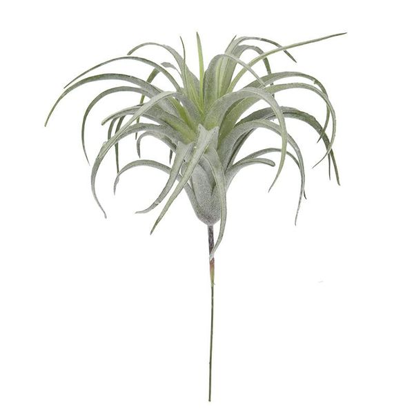 decorative flowers & wreaths tillandsia plants artificial flocking fake bromeliads air hanging simulation plant for home decoration
decorative flowers & wreaths tillandsia plants artificial flocking fake bromeliads air hanging simulation plant for home decoration