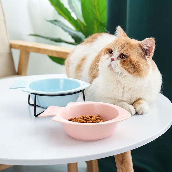 cat bowls & feeders non-slip dog water ceramic animal drinking eating feeder with raised stand pet product supplies accessories #p016
cat bowls & feeders non-slip dog water ceramic animal drinking eating feeder with raised stand pet product supplies accessories #p016