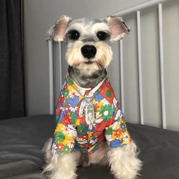 small dog medium-sized schnauzer summer thin fashion decorative clothes cute cat apparel
small dog medium-sized schnauzer summer thin fashion decorative clothes cute cat apparel