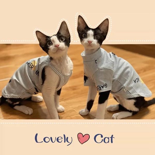 cat clothes cotton striped sphinx camisole t-shirt for spring summer sweater kitty vest from xs to 3xl pet drop supplier costumes
cat clothes cotton striped sphinx camisole t-shirt for spring summer sweater kitty vest from xs to 3xl pet drop supplier costumes