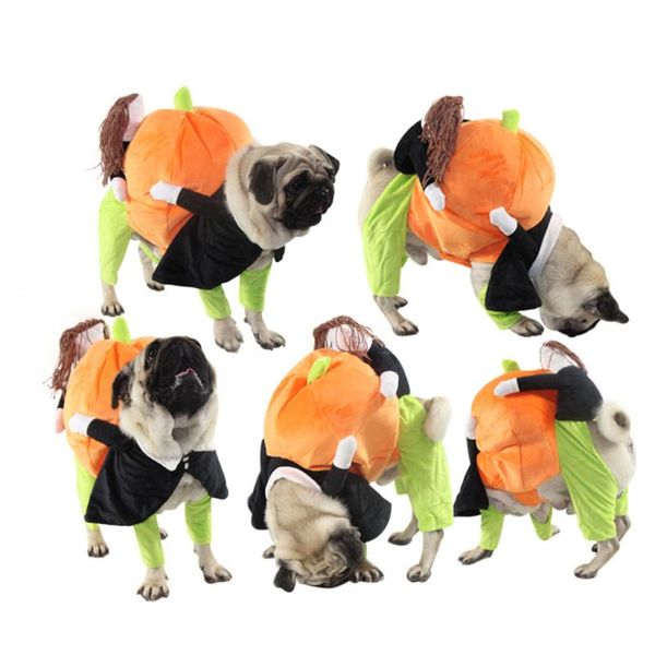 pet pumpkin costume funny upright transformation clothes dog cute pumpkin cross-dressing villain hug costume autumn and winter
pet pumpkin costume funny upright transformation clothes dog cute pumpkin cross-dressing villain hug costume autumn and winter