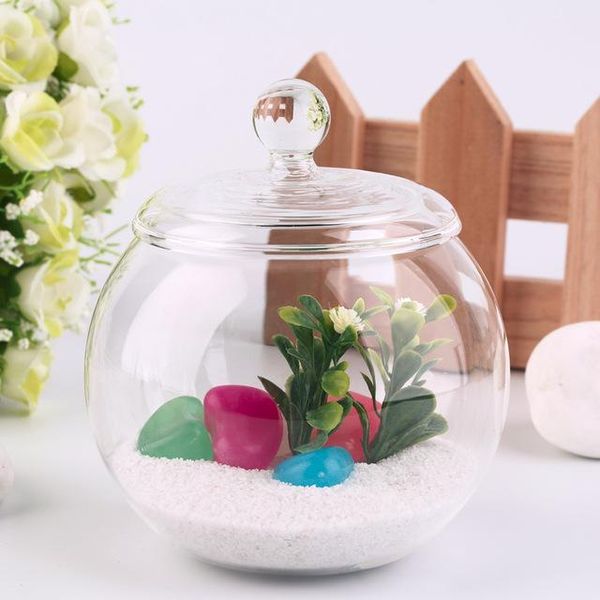 vases 1 set diameter 10 cm transparent micro meaty bryophytes landscape glass vase bottle with cover home wedding decor craft gifts
vases 1 set diameter 10 cm transparent micro meaty bryophytes landscape glass vase bottle with cover home wedding decor craft gifts