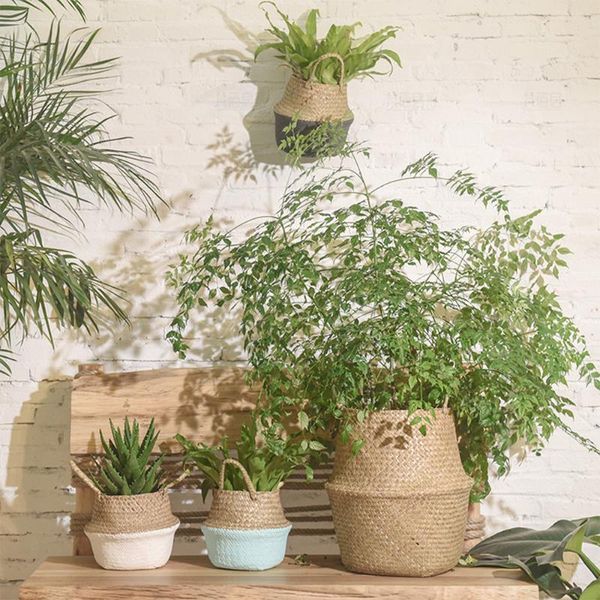 storage baskets eagrass wicker work rattan basket planting flower pot folding clothes laundry home garden belly mimbre
storage baskets eagrass wicker work rattan basket planting flower pot folding clothes laundry home garden belly mimbre