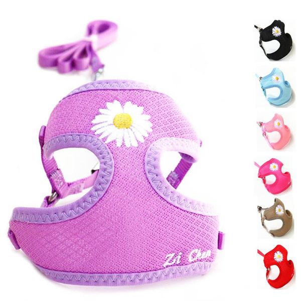 dog collars & leashes daisy embroidery mesh breathable vest harness and leash set control fashion accessories for small dogs chihuahua
dog collars & leashes daisy embroidery mesh breathable vest harness and leash set control fashion accessories for small dogs chihuahua