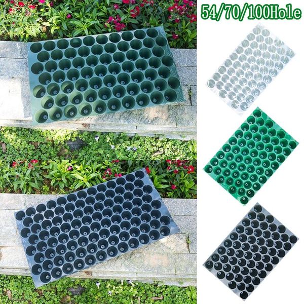 54/70 holes,garden plant growing tray box germination seed nursery pot planting kit garden supply planters & pots
54/70 holes,garden plant growing tray box germination seed nursery pot planting kit garden supply planters & pots