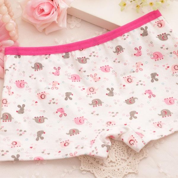 panties 2pcs/lot cool cartoon kids boxer girl underwear for children underpants briefs girls pants 2-9years, Camo
panties 2pcs/lot cool cartoon kids boxer girl underwear for children underpants briefs girls pants 2-9years, Camo