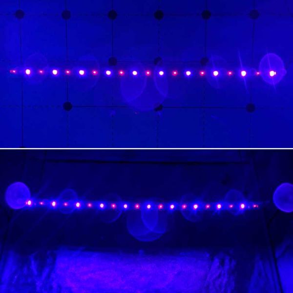 grow lights kingbrite qb20 cree xp-e2 730nm lg uv 395nm led strip light include mw driver (whole kit)
grow lights kingbrite qb20 cree xp-e2 730nm lg uv 395nm led strip light include mw driver (whole kit)
