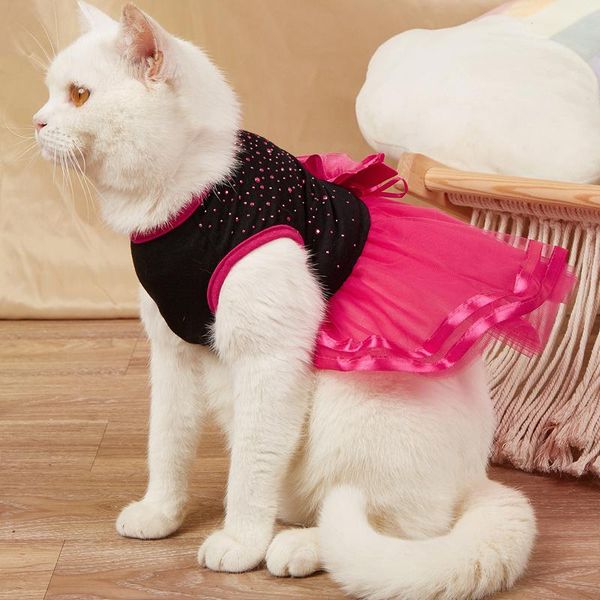 cat costumes luxury diamond design dog dress flower decor summer tulle wedding dresses for small medium cats tutu princess skirt clothes
cat costumes luxury diamond design dog dress flower decor summer tulle wedding dresses for small medium cats tutu princess skirt clothes