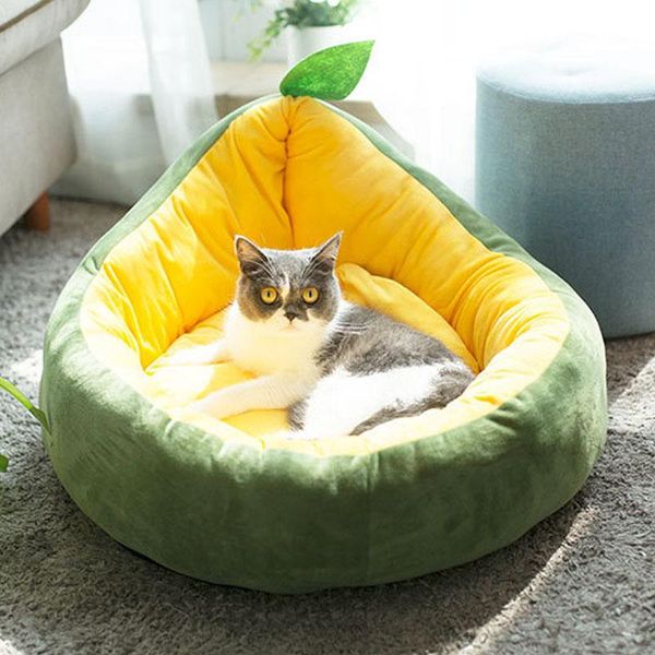 dog cat frog pet fleece thicken nest kennel puppy kitten soft sleeping bed cute cats warm beds & furniture
dog cat frog pet fleece thicken nest kennel puppy kitten soft sleeping bed cute cats warm beds & furniture