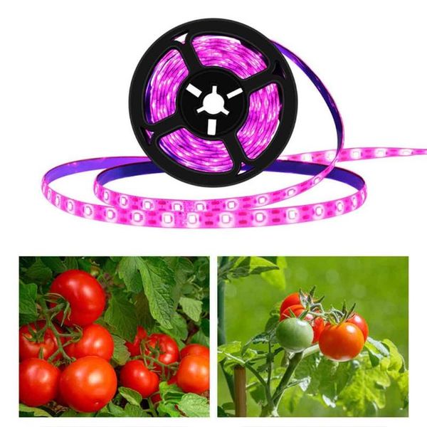 party decoration dc5v led plant grow light strip full spectrum phyto lamps hydroponic flower 0.5w 2835 lamp
party decoration dc5v led plant grow light strip full spectrum phyto lamps hydroponic flower 0.5w 2835 lamp