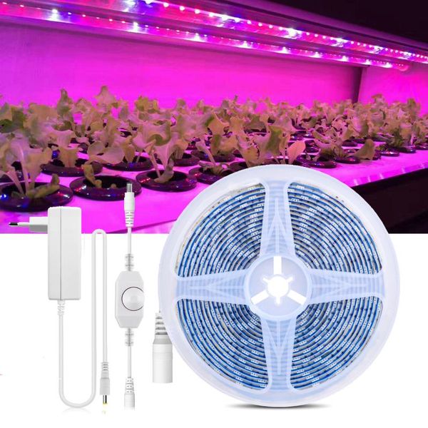 strips dimmable led strip light for indoor plant greenhouse vegetables flower growth supplement phytolamp grow lamp
strips dimmable led strip light for indoor plant greenhouse vegetables flower growth supplement phytolamp grow lamp