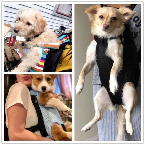 dog car seat covers adjustable backpack kangaroo breathable front puppy carrier bag pet carrying travel legs out
dog car seat covers adjustable backpack kangaroo breathable front puppy carrier bag pet carrying travel legs out