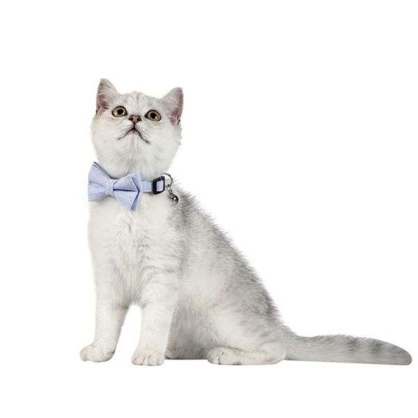 cat costumes the bronzing soft double-layer bowknot detachable safety buckle pet supplies collar blue color
cat costumes the bronzing soft double-layer bowknot detachable safety buckle pet supplies collar blue color