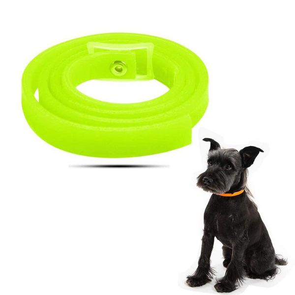 dog flea tick collar adjustable control pet outdoor protective caring tools products safe non-toxic collars & leashes
dog flea tick collar adjustable control pet outdoor protective caring tools products safe non-toxic collars & leashes