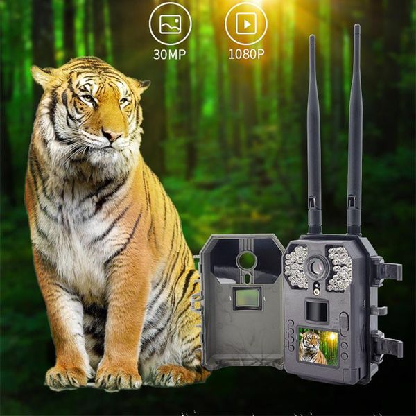 trail cameras 1080p ip66 fast trigger 4g infrared night vision surveillance hunting wildlife cam for home farm
trail cameras 1080p ip66 fast trigger 4g infrared night vision surveillance hunting wildlife cam for home farm