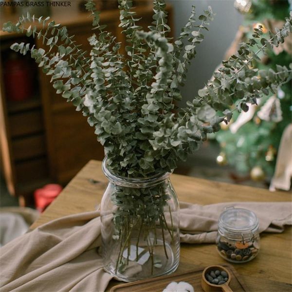 10pcs dried natural fresh forever eucalyptus branches,decorative grass coins,dry preserved eternal leaves for home 55cm tall decorative flow
10pcs dried natural fresh forever eucalyptus branches,decorative grass coins,dry preserved eternal leaves for home 55cm tall decorative flow