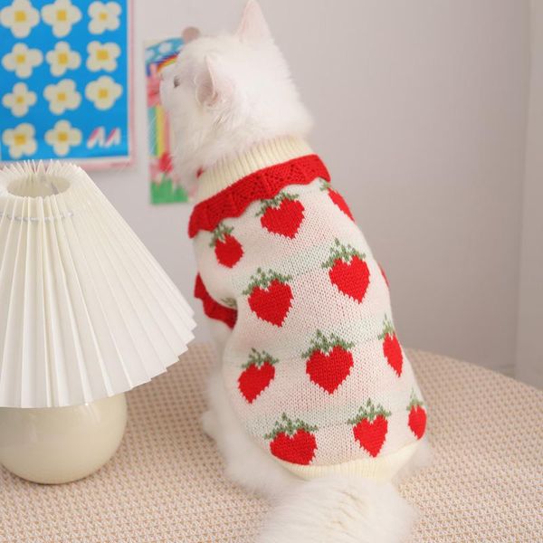 cat costumes dog sweater clothing winter warm turtleneck knitted puppy clothes costume for small dogs cats
cat costumes dog sweater clothing winter warm turtleneck knitted puppy clothes costume for small dogs cats