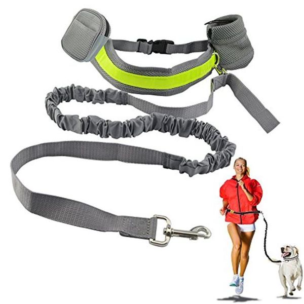 dog collars & leashes fml pet leash reflective hand elastic running jogging walking traction rope lead set for dogs
dog collars & leashes fml pet leash reflective hand elastic running jogging walking traction rope lead set for dogs