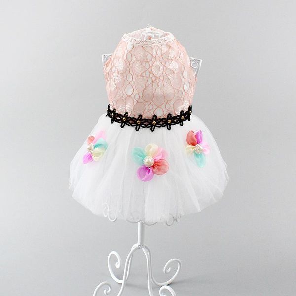 dog apparel summer dress pet clothes for small wedding skirt puppy clothing spring chihuahua yorkie 2021
dog apparel summer dress pet clothes for small wedding skirt puppy clothing spring chihuahua yorkie 2021