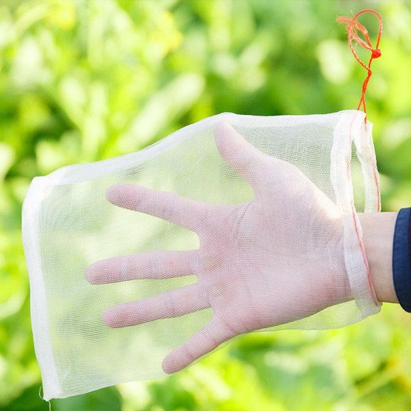 planters & pots 100 fruit protection bags and vegetable grape net bag multi-function insect-proof insect-repellent reusable pl
planters & pots 100 fruit protection bags and vegetable grape net bag multi-function insect-proof insect-repellent reusable pl