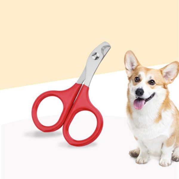 dog grooming pets puppy nail clippers cat claw scissors toe trimmer small dogs kitten pet supplies
dog grooming pets puppy nail clippers cat claw scissors toe trimmer small dogs kitten pet supplies