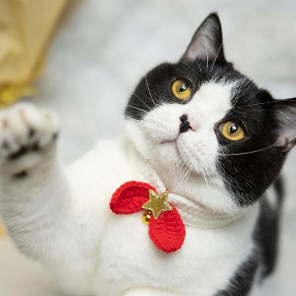 cat collars & leads practical convenient fine workmanship decorative cute bell cats jewelry collar knitted pets for home
cat collars & leads practical convenient fine workmanship decorative cute bell cats jewelry collar knitted pets for home