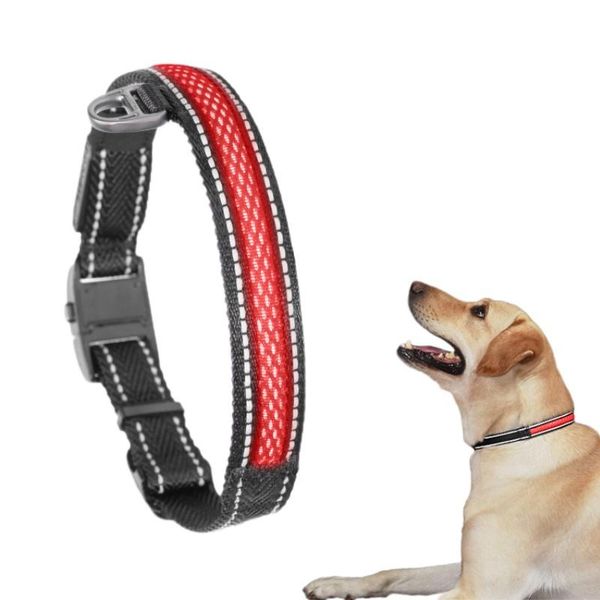 dog collar luminous rechargeable light bright pet reflective night safety for puppy small medium large collars & leashes
dog collar luminous rechargeable light bright pet reflective night safety for puppy small medium large collars & leashes