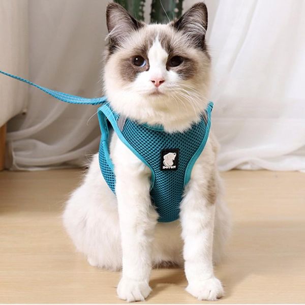 pet dog chest harness adjustable vest walking lead with leash polyester mesh for small medium supplies 2021 collars & leashes
pet dog chest harness adjustable vest walking lead with leash polyester mesh for small medium supplies 2021 collars & leashes