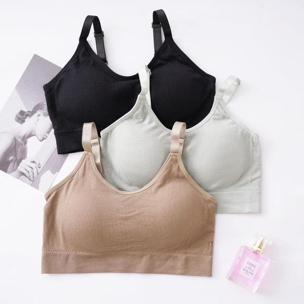 gym clothing v-neck sports bra women yoga fitness workou jogging high elastic straps underwear running vest, White;black
gym clothing v-neck sports bra women yoga fitness workou jogging high elastic straps underwear running vest, White;black