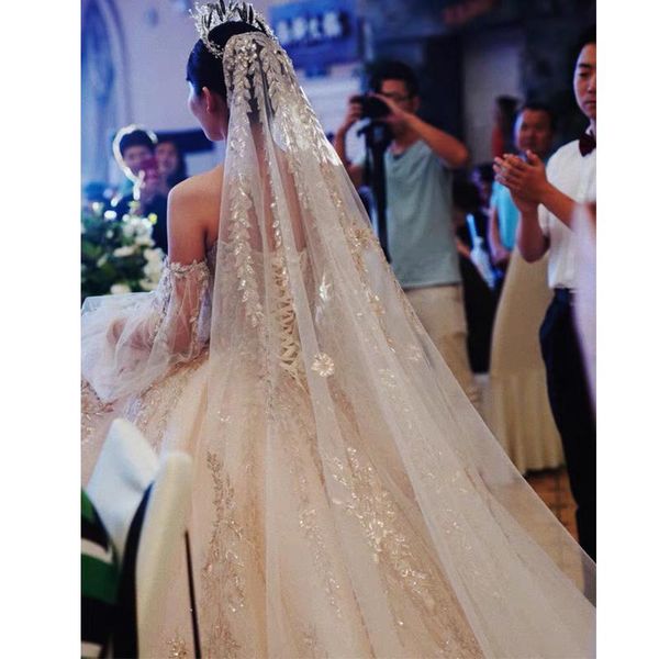 bridal veils veil wedding ceremony long tail 4m champagne lace court big, Black
bridal veils veil wedding ceremony long tail 4m champagne lace court big, Black